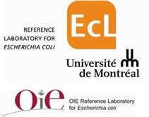OIE Reference Laboratory for E. coli