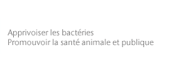 Apprivoiser les bactéries - Promouvoir la santé animale et publique